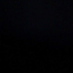 Meet your Posher, Corbin